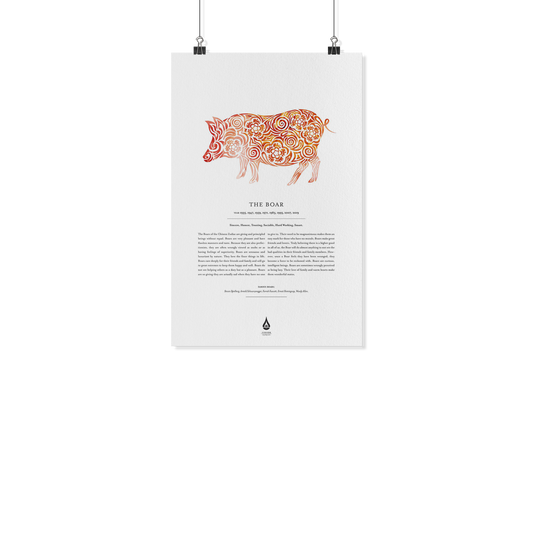 Boar Zodiac Poster 11" x17"